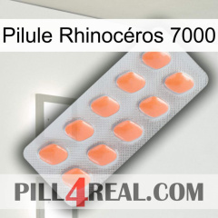 Pilule Rhinocéros 7000 26